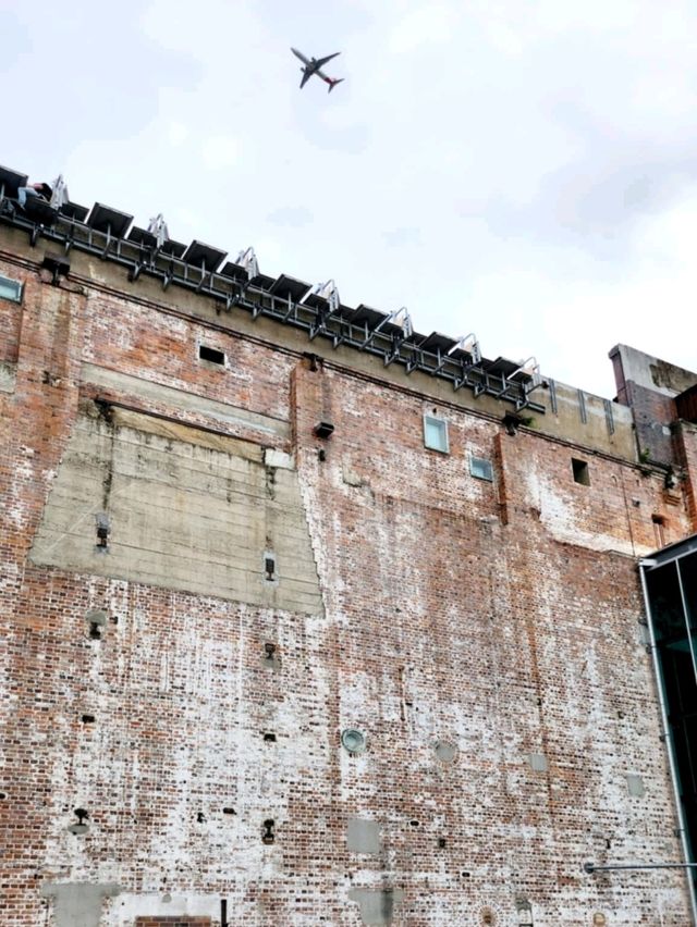 🇦🇺 Extreme Vertical Dining Experience in Brisbane, Australia