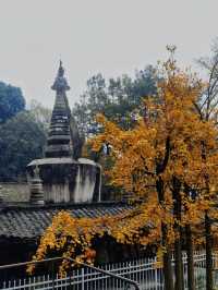 大邑白岩寺