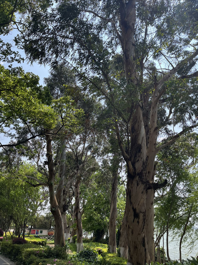 海堤公園