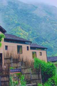 現實版富春山居圖｜山野中隱逸，藝術中沉浸