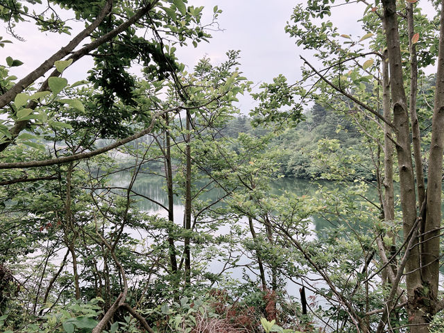 一言難盡的景區｜四明山森林公園