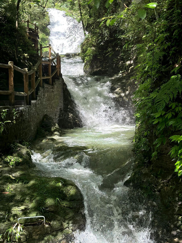 重慶黑山谷|幽峽峭壁瀑布自然景觀。