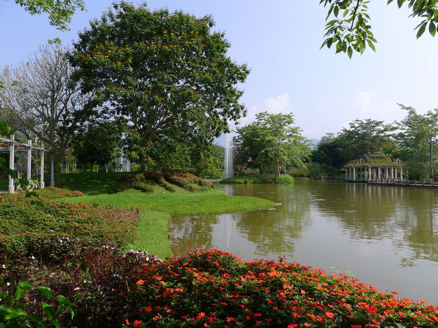 熱帶植物園·百花園——花的海洋。