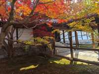 京都賞楓頂流之一：東福寺