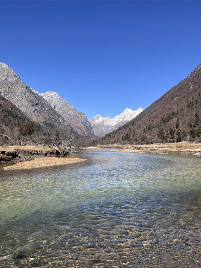 逃離浪浪山—拉薩至成都