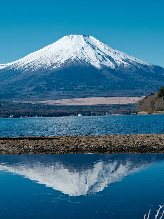 日本7日遊 別錯過這些震撼體驗