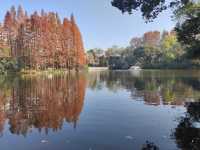 【城市漫遊】探索天山公園的無盡魅力