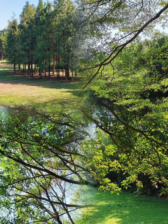 探秘東莞燕嶺濕地公園 | 自然與寧靜的邂逅