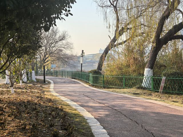 充盈生命活力之金銀湖濕地公園