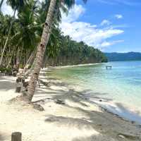 Coconut Beach, pigs roam this Philippines gem 🐖🏖️