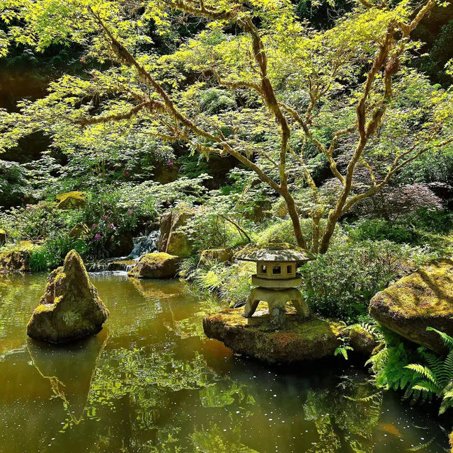 「興德院🏰禪意靜謐智慧」