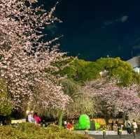 東京景點｜巧遇櫻花盛開~東京賞櫻勝地上野恩賜公園