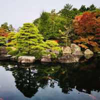 Nature’s Palette: Autumn Bliss at Kokoen Garden, Himeji!