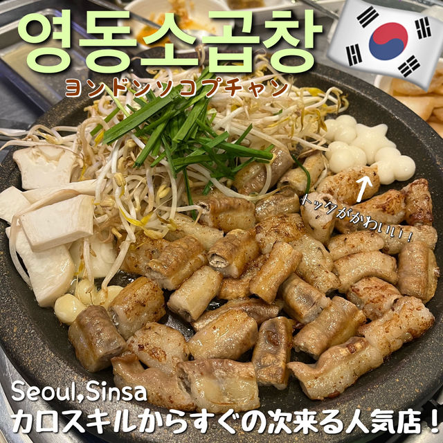 【韓国・ソウル🇰🇷】次来るコプチャンの人気店はここ！！