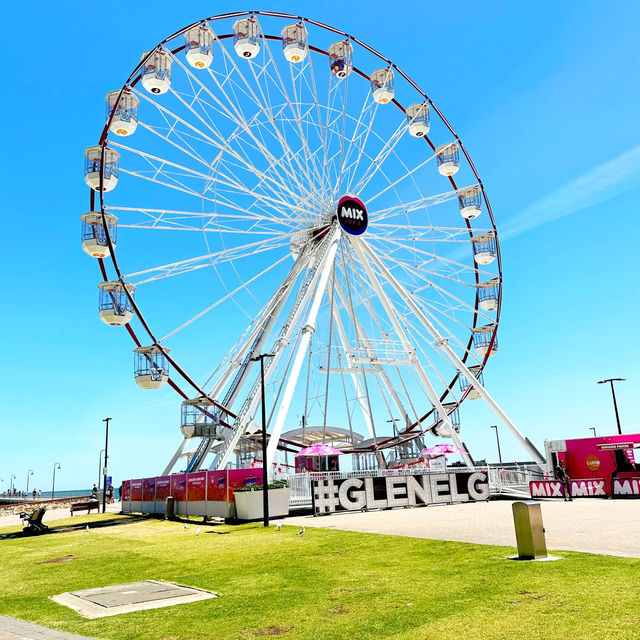 Half day trip to Glenelg beach 