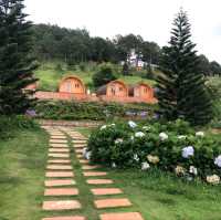 Dalat Wonder Resort | Vietnam