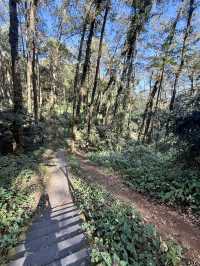 來鳳山森林公園徒步探險之旅