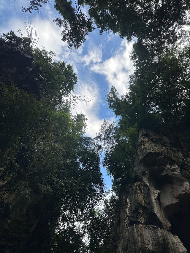 Coffee in the mountain valley ⛰️ Kin Lorong Valley Chang Jiang White Coffee☕️