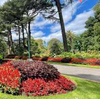 Tranquility in Bloom at Fitzroy Gardens 