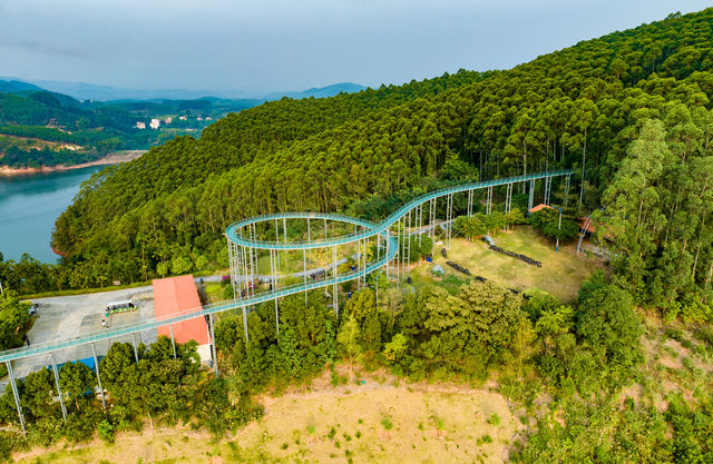 擁抱大自然的康養之旅：派陽山森林公園