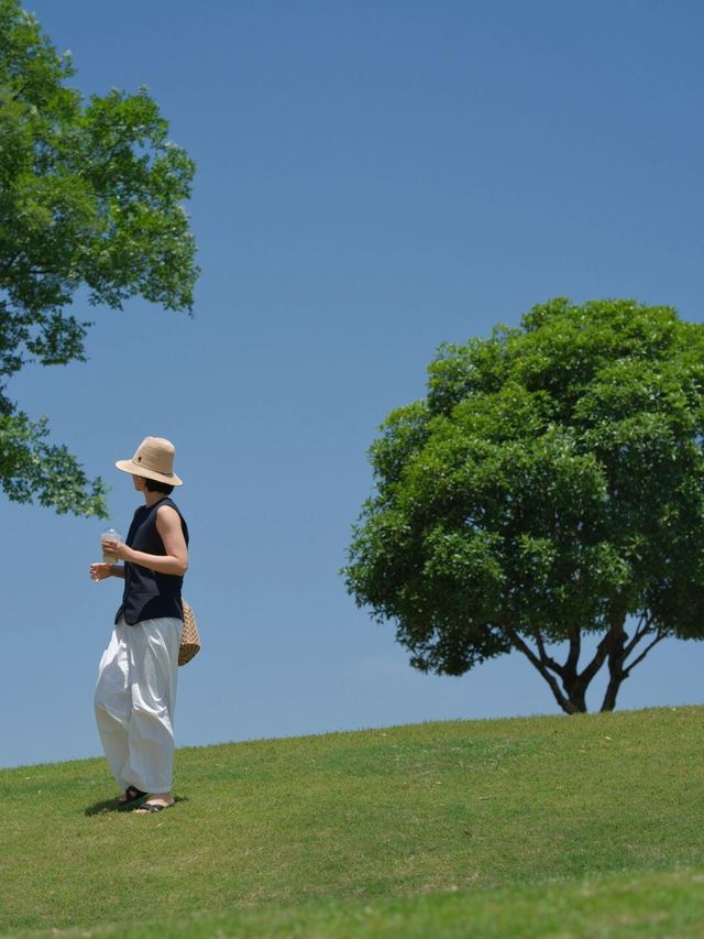 謝子龍新機位夏天的綠五分鐘拍了100張