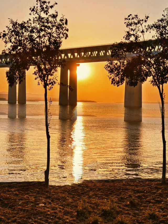 追尋天鵝的浪漫之旅：更有絕美的黃河日落。