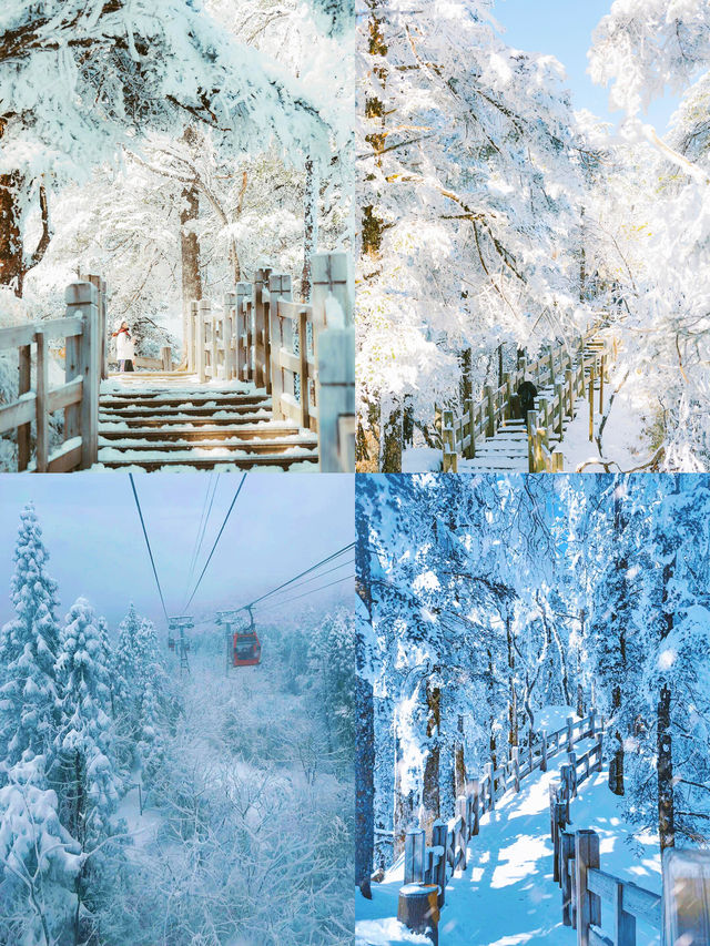 成都西嶺雪山上！雪景真的好靚啊！！