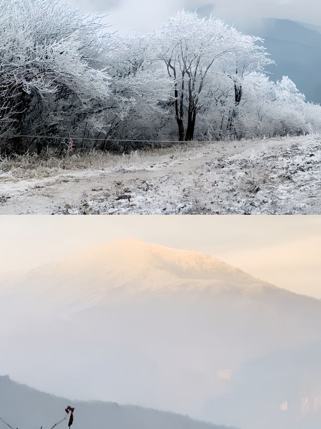 龍王山|我身體的每個朝向都是遠方