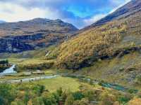 Explore the Majestic Sognefjord in Norway