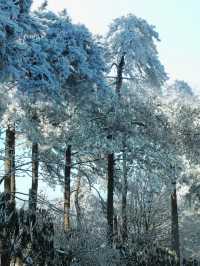 冰雪仙境中徒步，江浙滬賞雪不容錯過