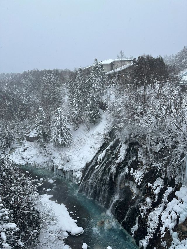 日本6日遊 超詳細攻略來啦