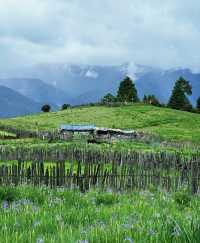 雲南老藥山，自然探秘之旅