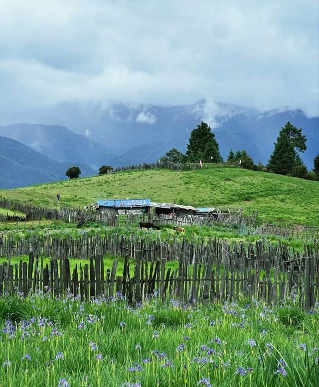 雲南老藥山，自然探秘之旅