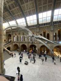 Step Back in Time:Natural History Museum