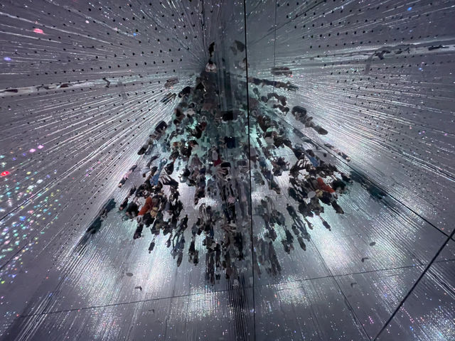 Immersed in the Infinite: My Journey Through TeamLab Tokyo