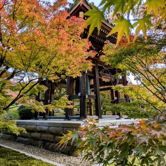 【京都紅葉】本当は教えたくない紅葉の名所 総本山智積院