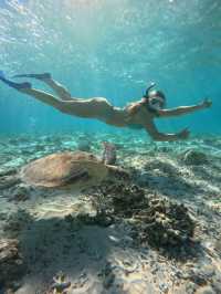 From Gili Trawangan: Gili Islands Snorkeling Boat Tour