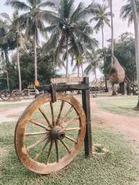 The best village experience @ Kampung Agong 🥥