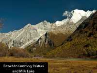 Best Autumn Viewing Experience 1/3 [Luorong Pasture, Yading Nature Reserve]