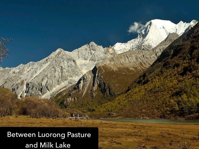 Best Autumn Viewing Experience 1/3 [Luorong Pasture, Yading Nature Reserve]