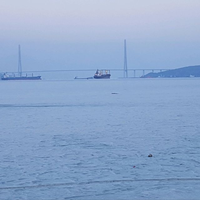 Frozen Sea Adventure at the Lighthouse in Vladivostok  