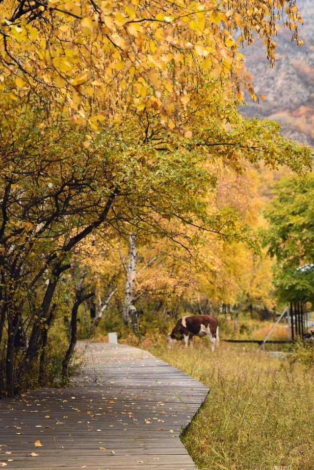 宛如油畫，呼和浩特市紅召九龍灣