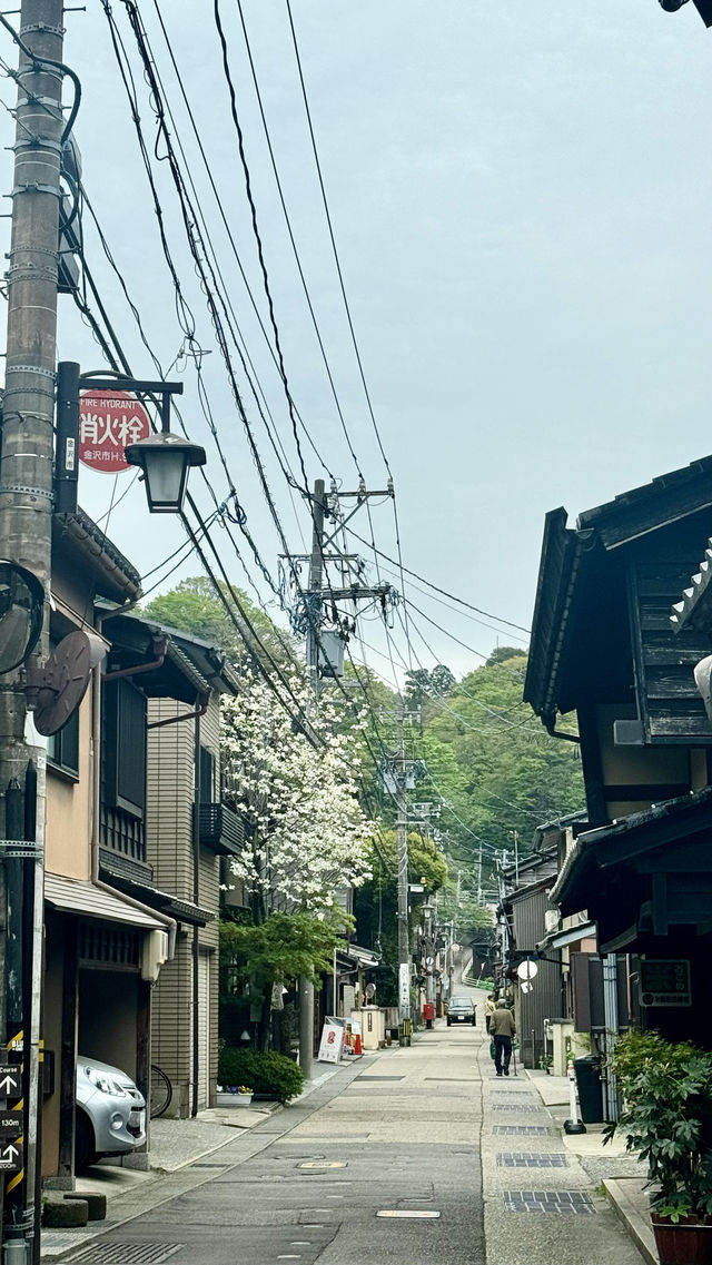 【日本升龍道】第四站金澤