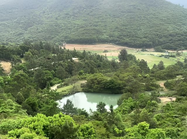 福州大姆山草場：綠野仙蹤的浪漫邂逅