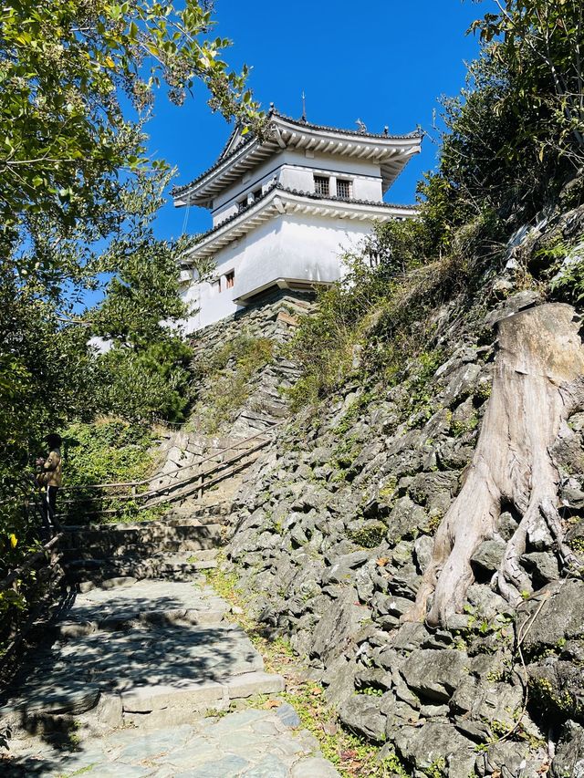 日本·和歌山城。