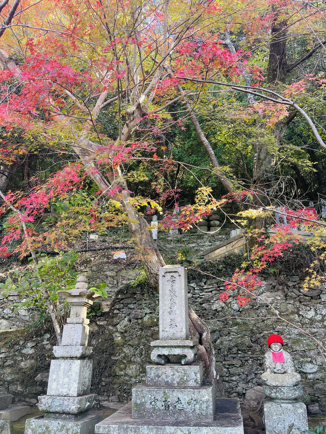 日本·和歌山。