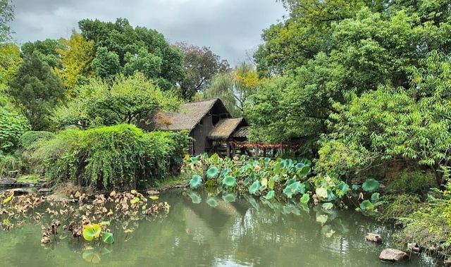 拜託了，聽勸！沈園遊覽，這些雷區你絕對要避開！