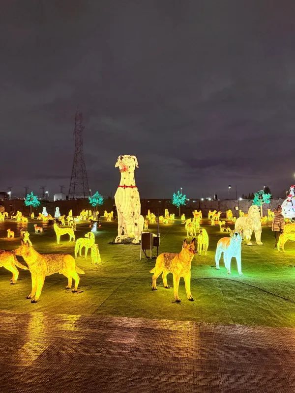 Explore the Illumi Light Show in Mississauga