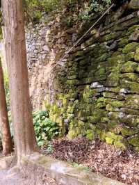 雲南大理大雲堂萬佛寺，免費景點（寂照庵隔壁）