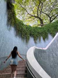 Fort Canning Tree Tunnel in Singapore is Mesmerizing🌹💥